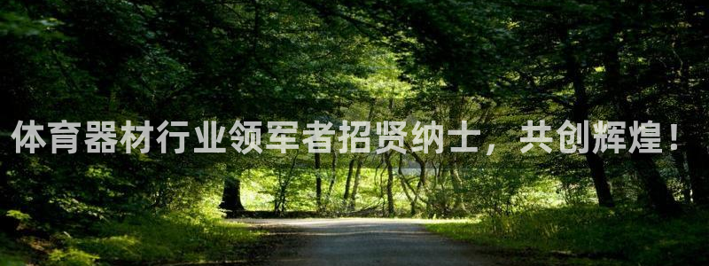 耀世微光 歌词：体育器材行业领军者招贤纳士，共创辉煌