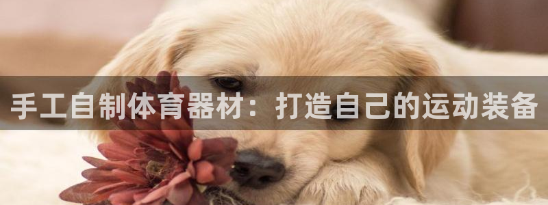 耀世而生什么意思：手工自制体育器材：打造自己的运动装