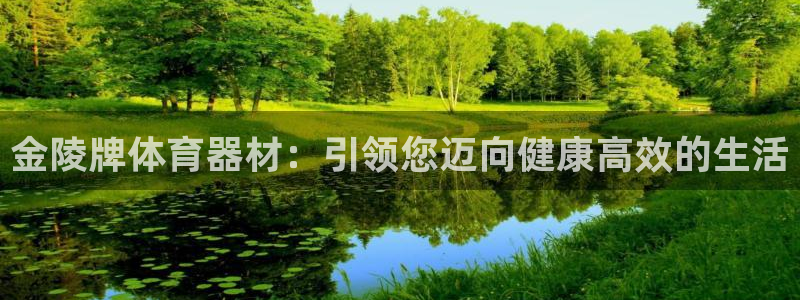 耀世盛典官网入口：金陵牌体育器材：引领您迈向健康高效