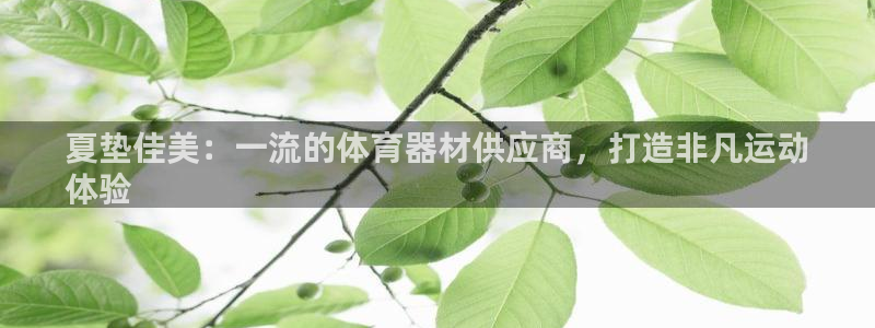 耀世来袭：夏垫佳美：一流的体育器材供应商，打造非凡运