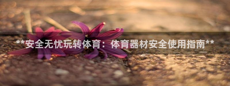 耀世平台代理怎么做任务：**安全无忧玩转体育：体育器