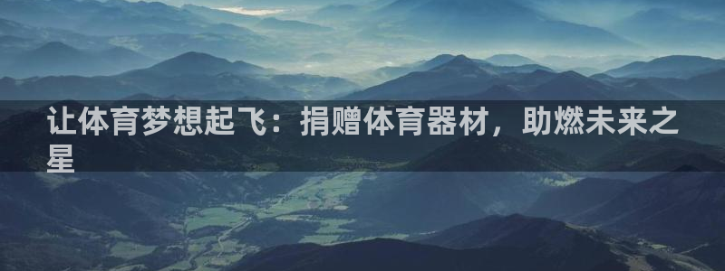 耀世娱乐官网注册流程：让体育梦想起飞：捐赠体育器材，