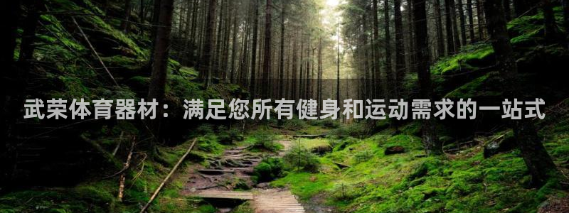 耀世平台哪个彩种是公平彩的：武荣体育器材：满足您所有