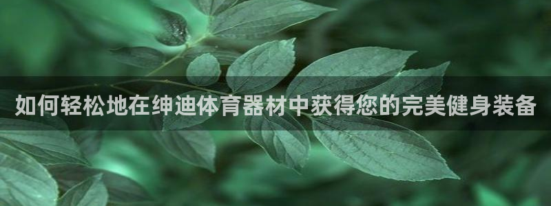 耀世娱乐安全吗可靠吗：如何轻松地在绅迪体育器材中获得