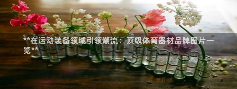 耀世平台代理注册登录：**在运动装备领域引领潮流：顶