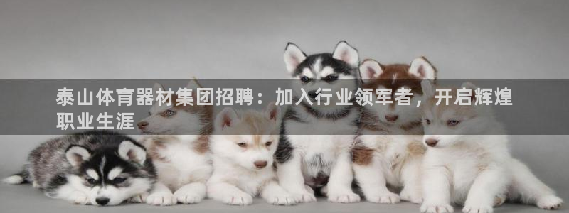 耀世挑战怎么打：泰山体育器材集团招聘：加入行业领军者
