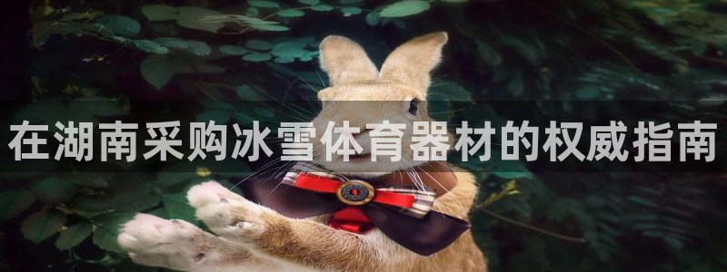 耀世意思：在湖南采购冰雪体育器材的权威指南