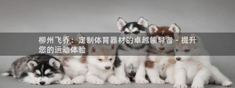 耀世官网注册时间：柳州飞乔：定制体育器材的卓越领导者