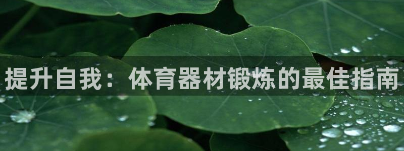 耀世集团董事长：提升自我：体育器材锻炼的最佳指南