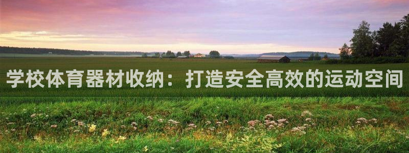 耀世娱乐官网网站首页：学校体育器材收纳：打造安全高效