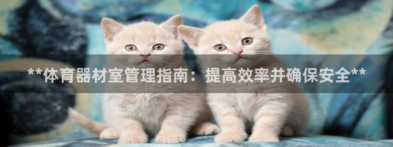 耀世娱乐登录地址在哪查：**体育器材室管理指南：提高