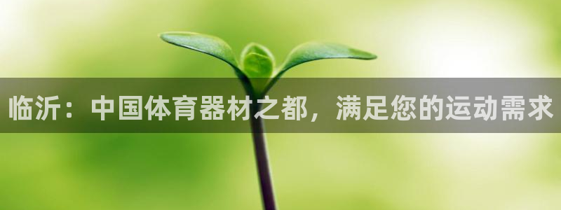 耀世娱乐挂机怎么玩：临沂：中国体育器材之都，满足您的