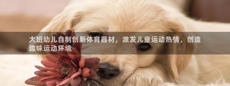 耀世集团王大聪图片：大班幼儿自制创新体育器材，激发儿