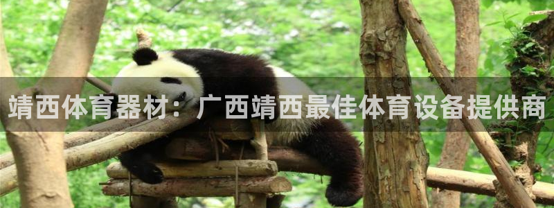 耀世登场什么意思：靖西体育器材：广西靖西最佳体育设备