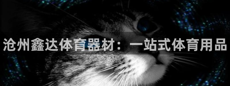 耀世娱乐中国创新：沧州鑫达体育器材：一站式体育用品
