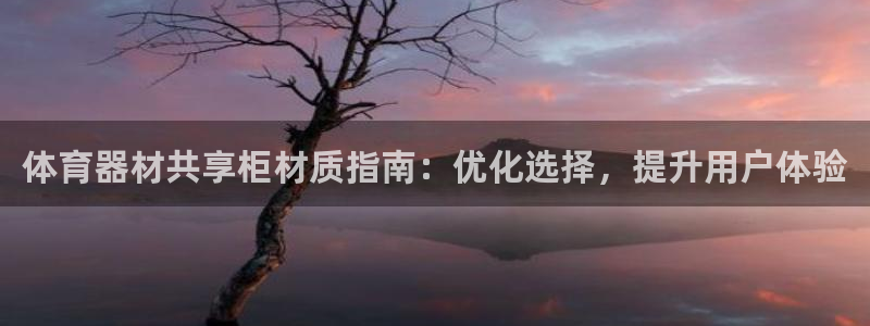 耀世娱乐佳 5O6917 娱乐：体育器材共享柜材质指