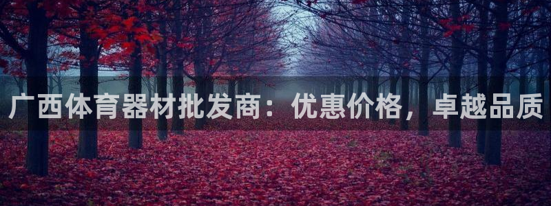 耀世平台李 411O31 耀世：广西体育器材批发商：