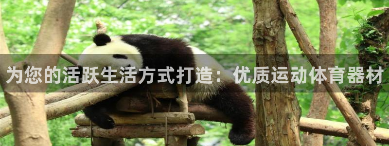 耀世娱乐提款机怎么用：为您的活跃生活方式打造：优质运