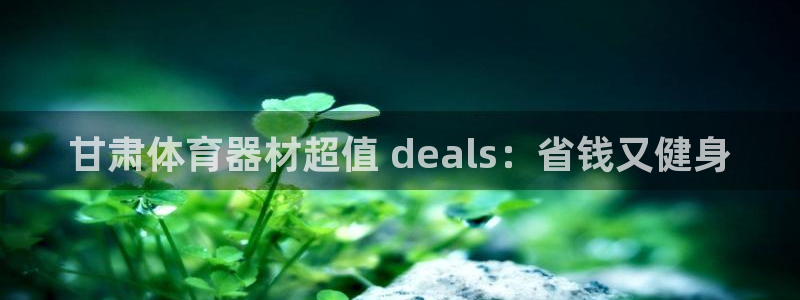 耀世娱乐注册：甘肃体育器材超值 deals：省钱又健