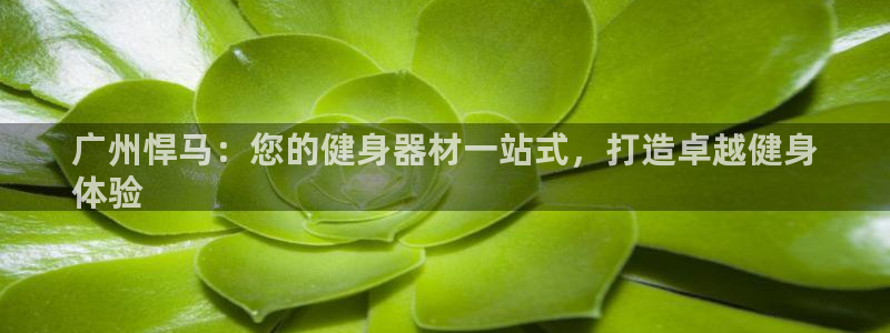 耀世天下短句：广州悍马：您的健身器材一站式，打造卓越