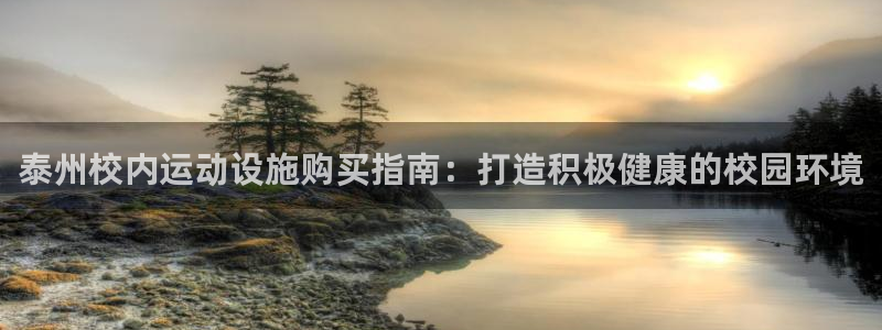 耀世平台拿什么输入账号密码呢：泰州校内运动设施购买指