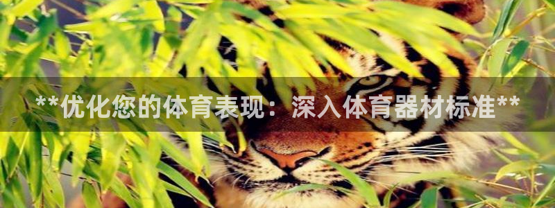 耀世娱乐百科百度：**优化您的体育表现：深入体育器材