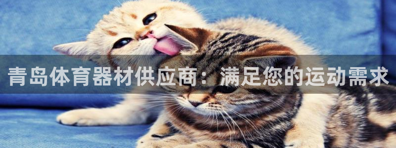 耀世娱乐招商注册 知乎：青岛体育器材供应商：满足您的