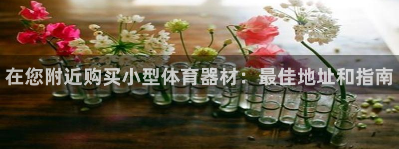 耀世集团王大聪图片：在您附近购买小型体育器材：最佳地