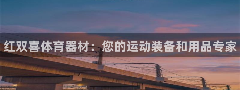 耀世小说全文免费阅读：红双喜体育器材：您的运动装备和
