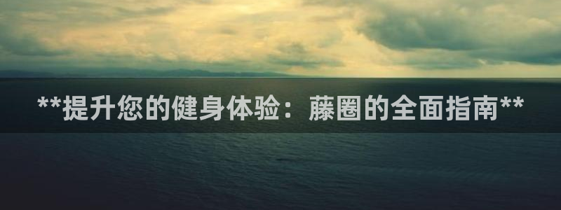 耀世小说全文免费阅读：**提升您的健身体验：藤圈的全