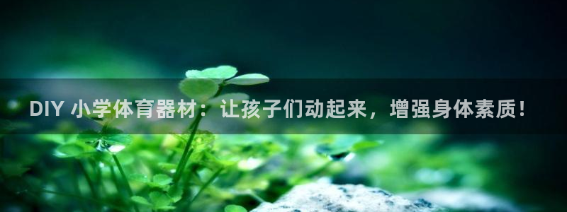 耀世娱乐平台巴7O777：DIY 小学体育器材：让孩