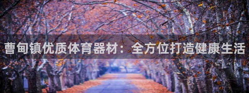 耀世娱乐是玛雅旗下的吗知乎：曹甸镇优质体育器材：全方