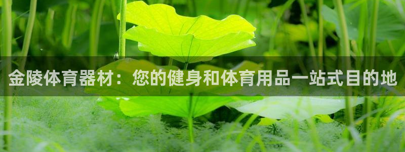 耀世天下图片：金陵体育器材：您的健身和体育用品一站式