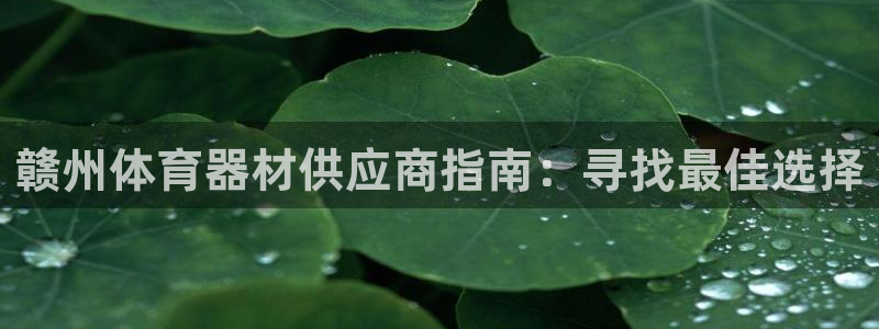 耀世平台注册流程图：赣州体育器材供应商指南：寻找最佳