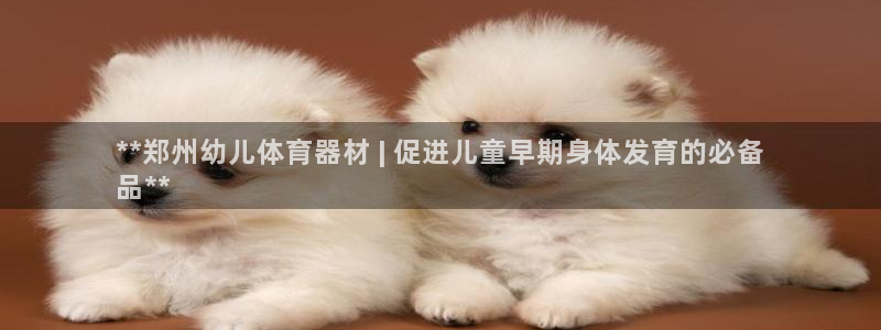 耀世娱乐登陆地址在哪：**郑州幼儿体育器材 | 促进