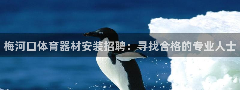 耀世平台注册网址是什么：梅河口体育器材安装招聘：寻找