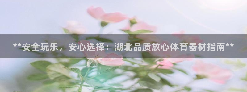 耀世金生产品介绍：**安全玩乐，安心选择：湖北品质放