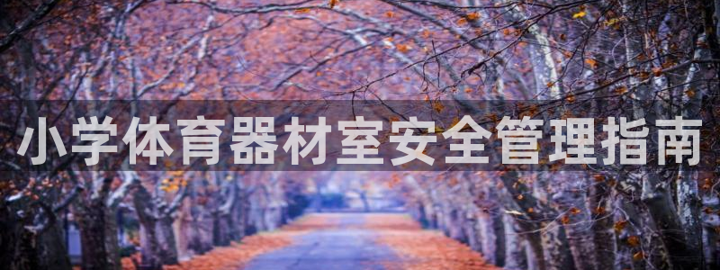 耀世平台面 411O31 平台：小学体育器材室安全管