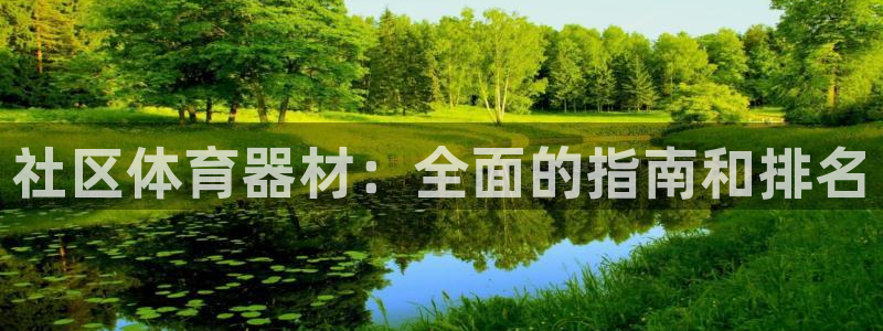 耀世挑战攻略：社区体育器材：全面的指南和排名