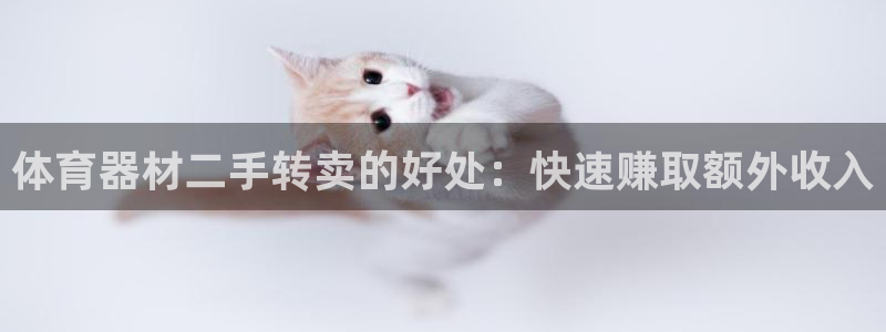 耀世娱乐家 411O31 耀世：体育器材二手转卖的好