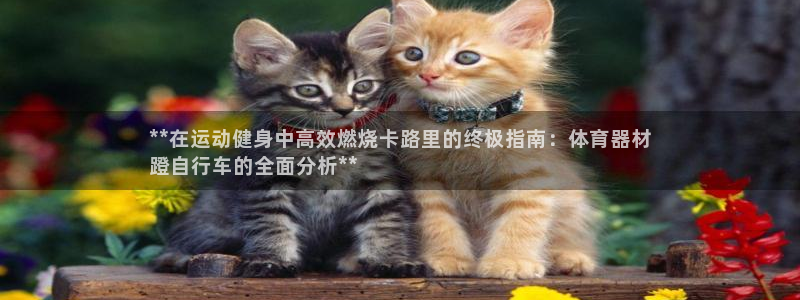 耀世娱乐是正规还是仿：**在运动健身中高效燃烧卡路里