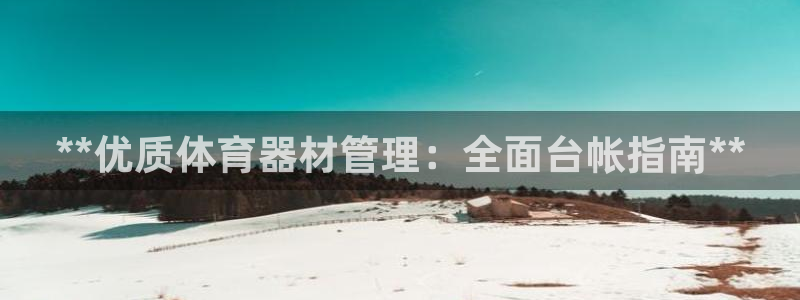 耀世辉煌：**优质体育器材管理：全面台帐指南**
