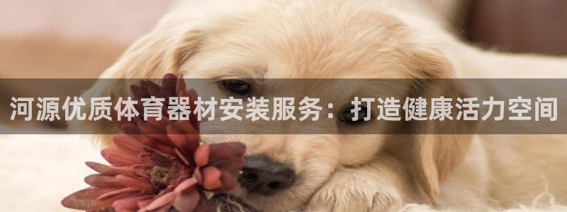 耀世天下和如日中天哪个好：河源优质体育器材安装服务：