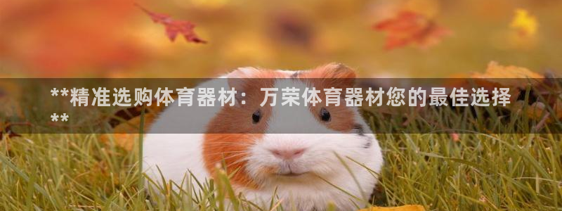 耀世平台注册登录不上怎么办：**精准选购体育器材：万