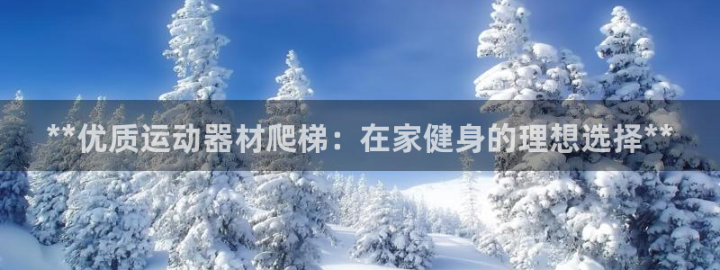 耀世集团是什么电影里的人物：**优质运动器材爬梯：在