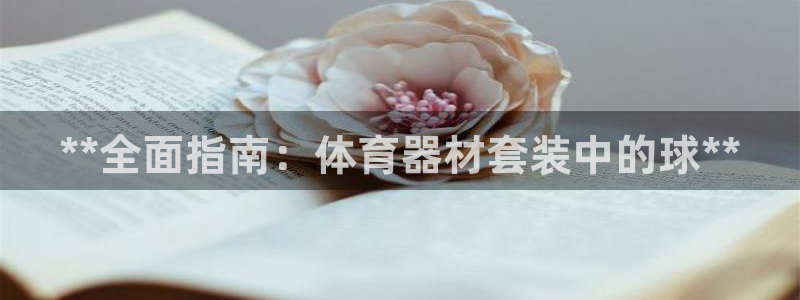 耀世辉煌：**全面指南：体育器材套装中的球**