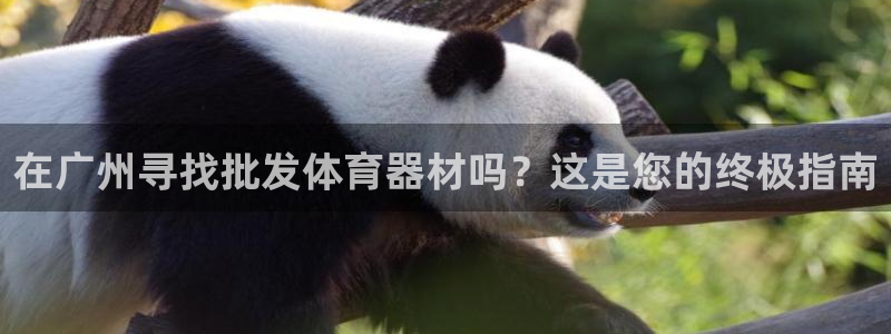 耀世平台有很多登录地址怎么回事：在广州寻找批发体育器