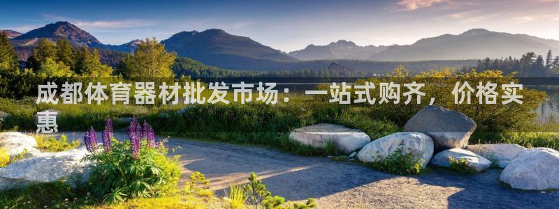 耀世娱乐科学：成都体育器材批发市场：一站式购齐，价格
