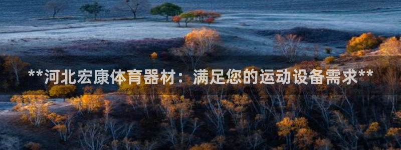 耀世娱乐下载链接安装：**河北宏康体育器材：满足您的