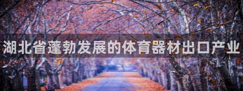 耀世平台华 5O6917 平台：湖北省蓬勃发展的体育